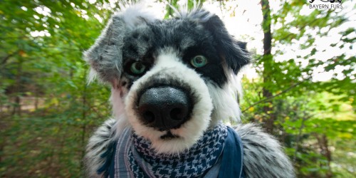 5. Münchner Suitwalk