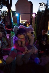 BFD5 0088 von Bastlwastl