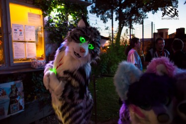 BFD5 0090 von Bastlwastl