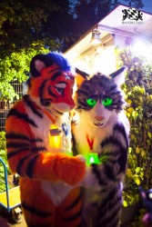 BFD5 0091 von Bastlwastl