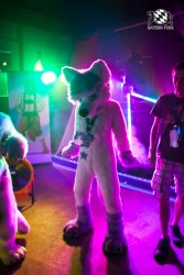 BFD5 0120 von Bastlwastl