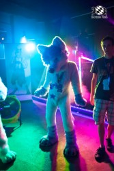 BFD5 0121 von Bastlwastl