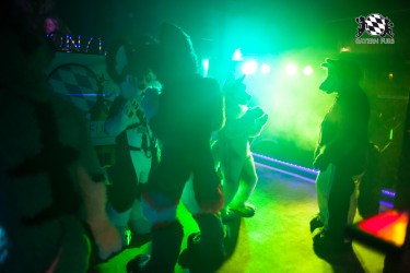 BFD5 0131 von Bastlwastl