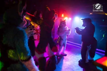 BFD5 0133 von Bastlwastl