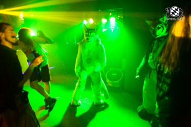 BFD5 0162 von Bastlwastl