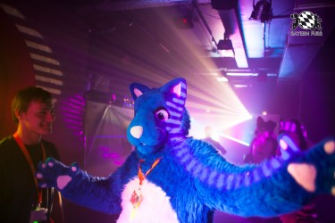 BFD5 0175 von Bastlwastl