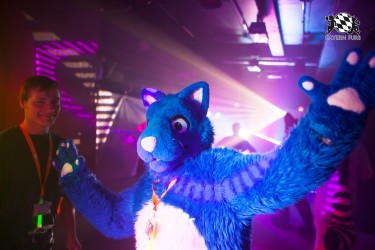 BFD5 0176 von Bastlwastl