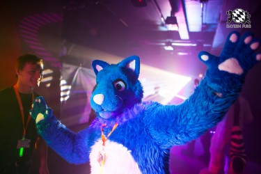 BFD5 0177 von Bastlwastl