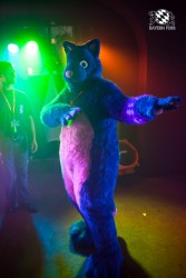 BFD5 0183 von Bastlwastl