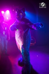 BFD5 0184 von Bastlwastl