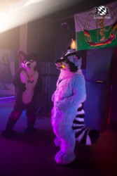 BFD5 0186 von Bastlwastl