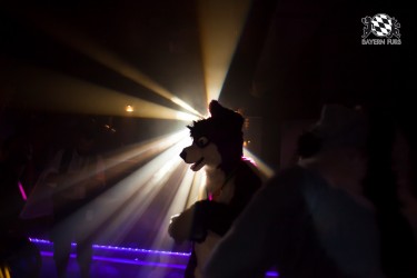 BFD5 0207 von Bastlwastl