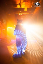 BFD5 0234 von Bastlwastl