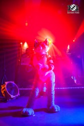 BFD5 0268 von Bastlwastl