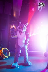 BFD5 0271 von Bastlwastl