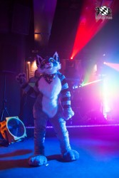 BFD5 0272 von Bastlwastl