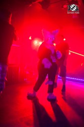 BFD5 0279 von Bastlwastl