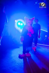 BFD5 0280 von Bastlwastl