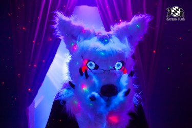 BFD5 0324 von Bastlwastl