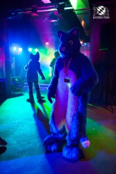 BFD5 0343 von Bastlwastl