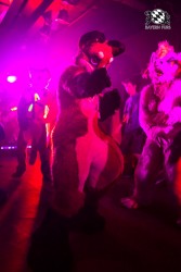 BFD5 0384 von Bastlwastl