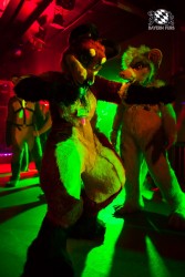 BFD5 0385 von Bastlwastl