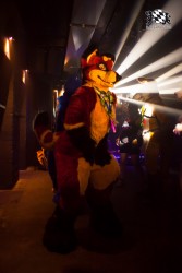 BFD5 0412 von Bastlwastl