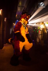 BFD5 0413 von Bastlwastl