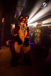 BFD5 0417 von Bastlwastl