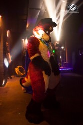 BFD5 0420 von Bastlwastl