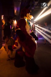 BFD5 0422 von Bastlwastl