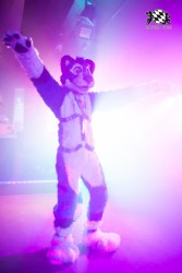 BFD5 0451 von Bastlwastl