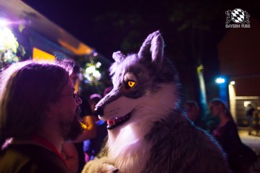 BFD5 0491 von Bastlwastl