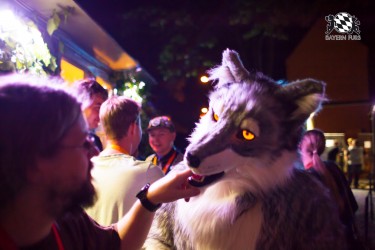 BFD5 0493 von Bastlwastl