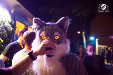 BFD5 0495 von Bastlwastl