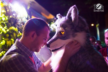 BFD5 0498 von Bastlwastl