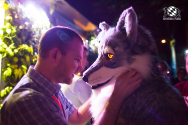 BFD5 0499 von Bastlwastl