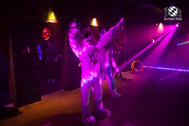 BFD5 0503 von Bastlwastl