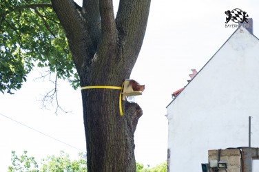 BFD5 0631 von Unbekannt