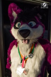 BFD5 0660 von Unbekannt