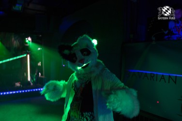 BFD5 0667 von Unbekannt