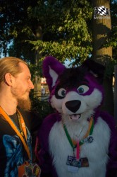 BFD5 0671 von Unbekannt