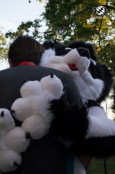 BFD5 0679 von Unbekannt