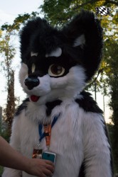 BFD5 0682 von Unbekannt