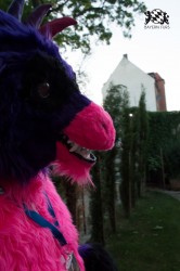 BFD5 0689 von Unbekannt