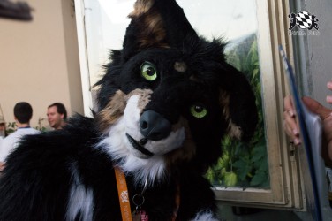 BFD5 0692 von Unbekannt