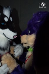 BFD5 0743 von Unbekannt