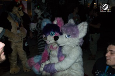 BFD5 0746 von Unbekannt