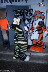 BFD6 0080 von ToniXYZ