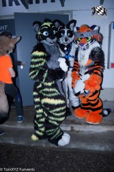 BFD6 0081 von ToniXYZ